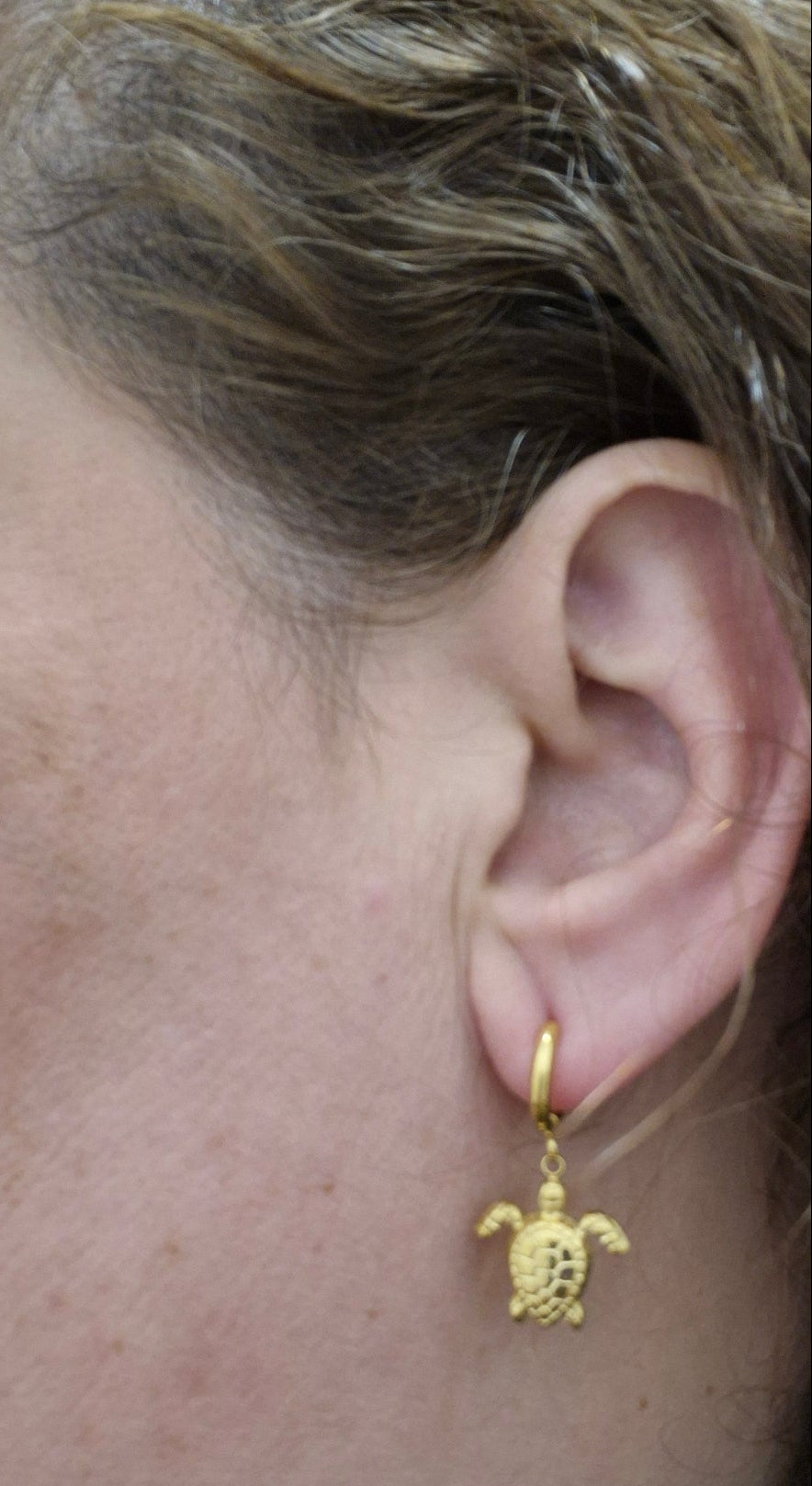 PENDIENTES TORTUGAS