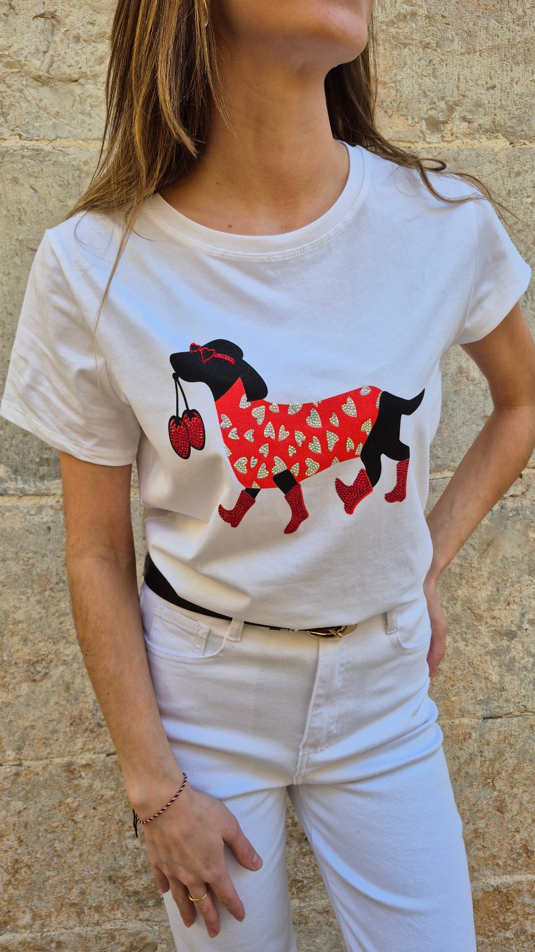 CAMISETA DOGGY DIAMANTE
