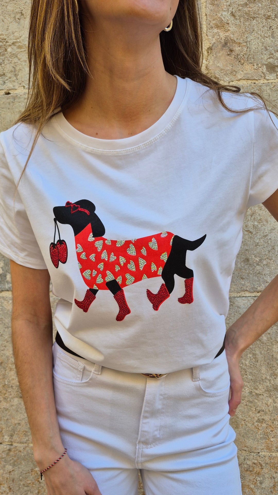 CAMISETA DOGGY DIAMANTE